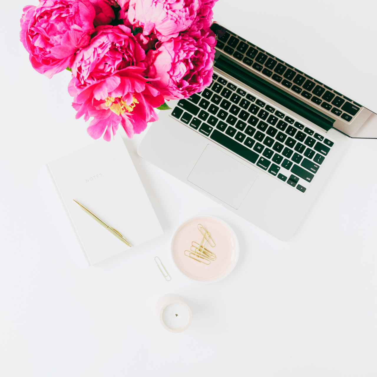 Strona WordPress - Standard